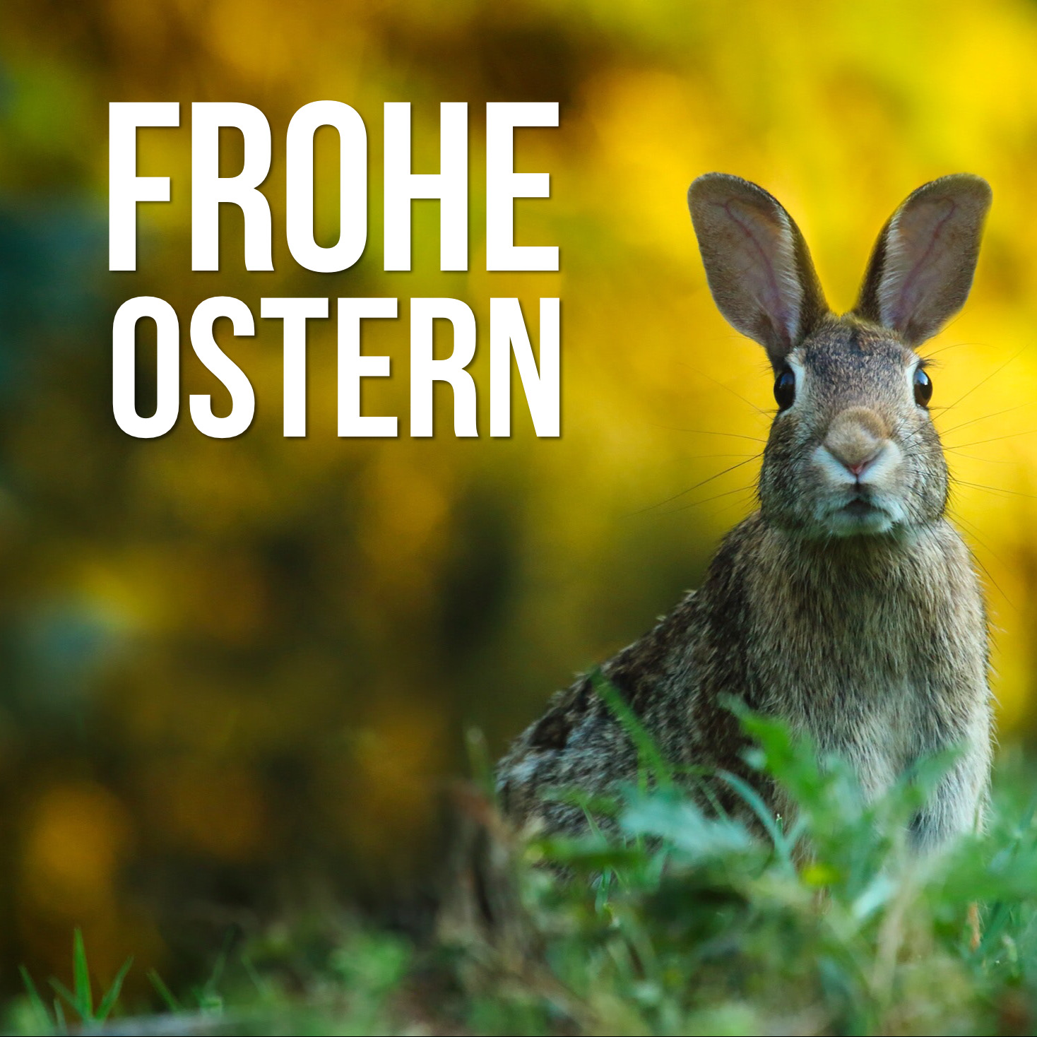 Osterwochenende 2020