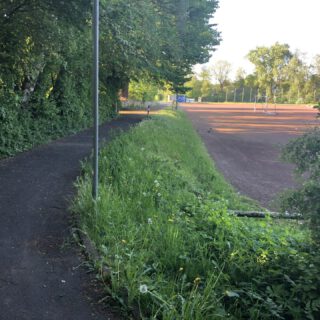 Westlicher Gehweg am Tennisplatz mit Blick nach Norden