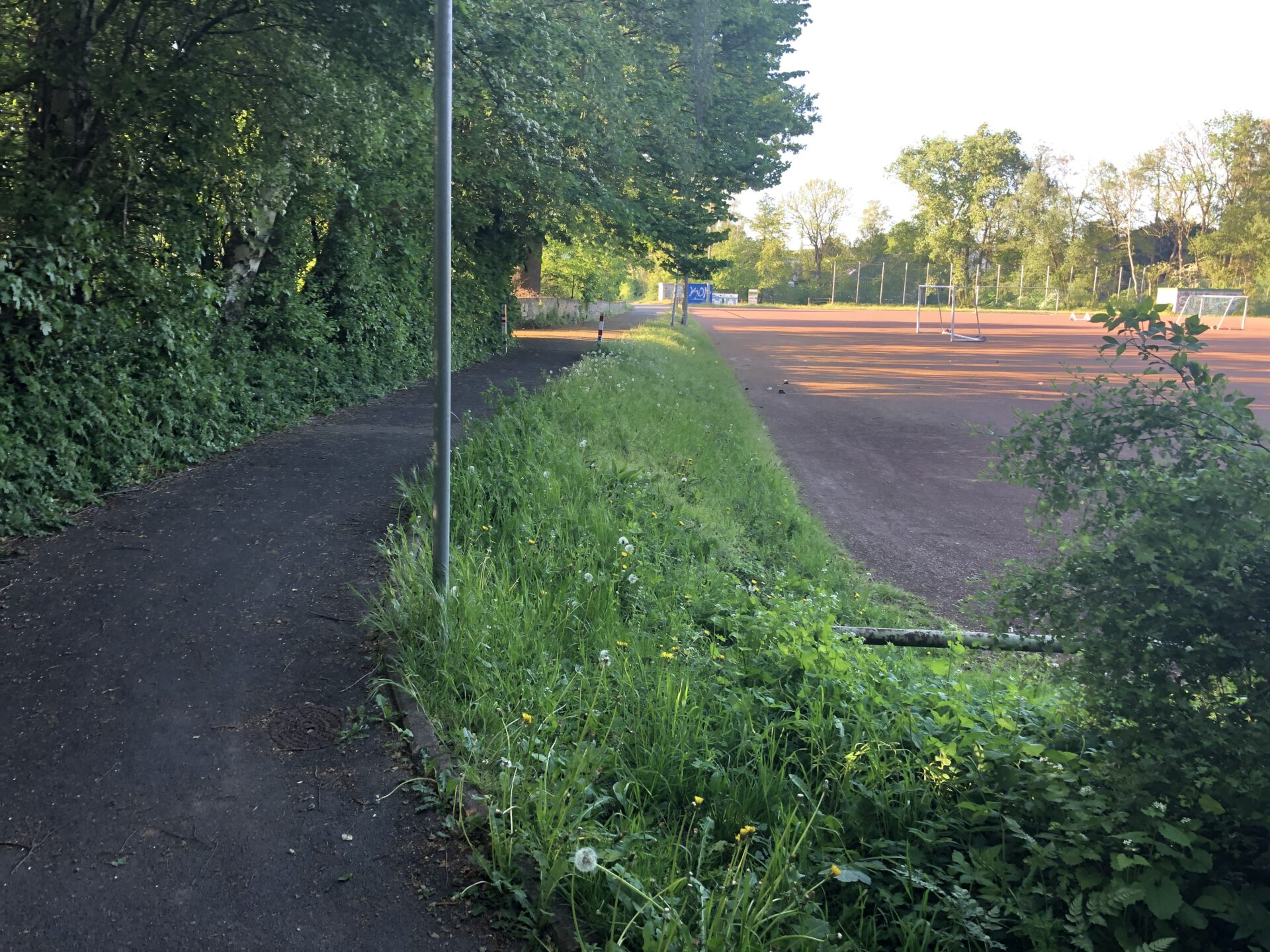 Westlicher Gehweg am Tennisplatz mit Blick nach Norden