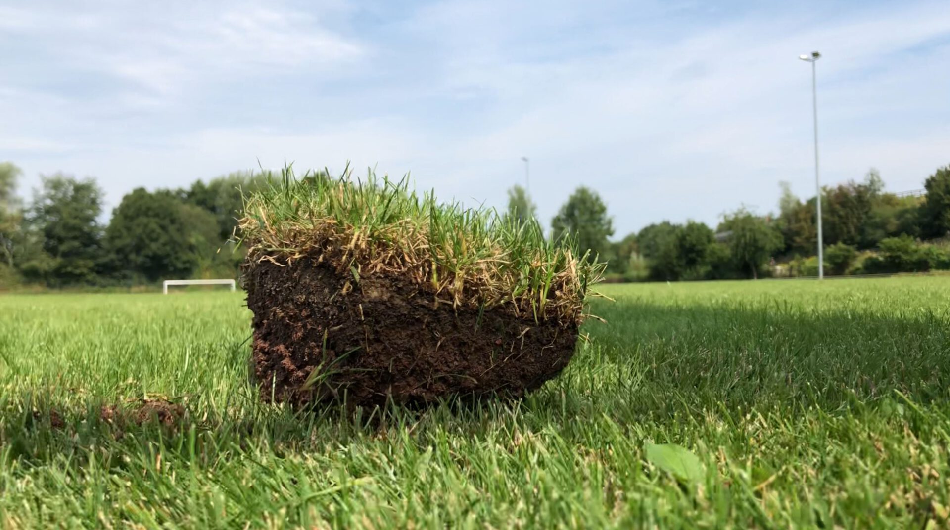 Nahaufnahme zum Querschnitt des Naturrasen im Stadion am Mittelbach in Löhne-Gohfeld